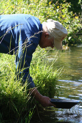 photo of Bill Hastings panning for gold