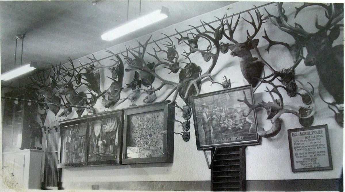 One Wall of hunting trophies at Sommervilles